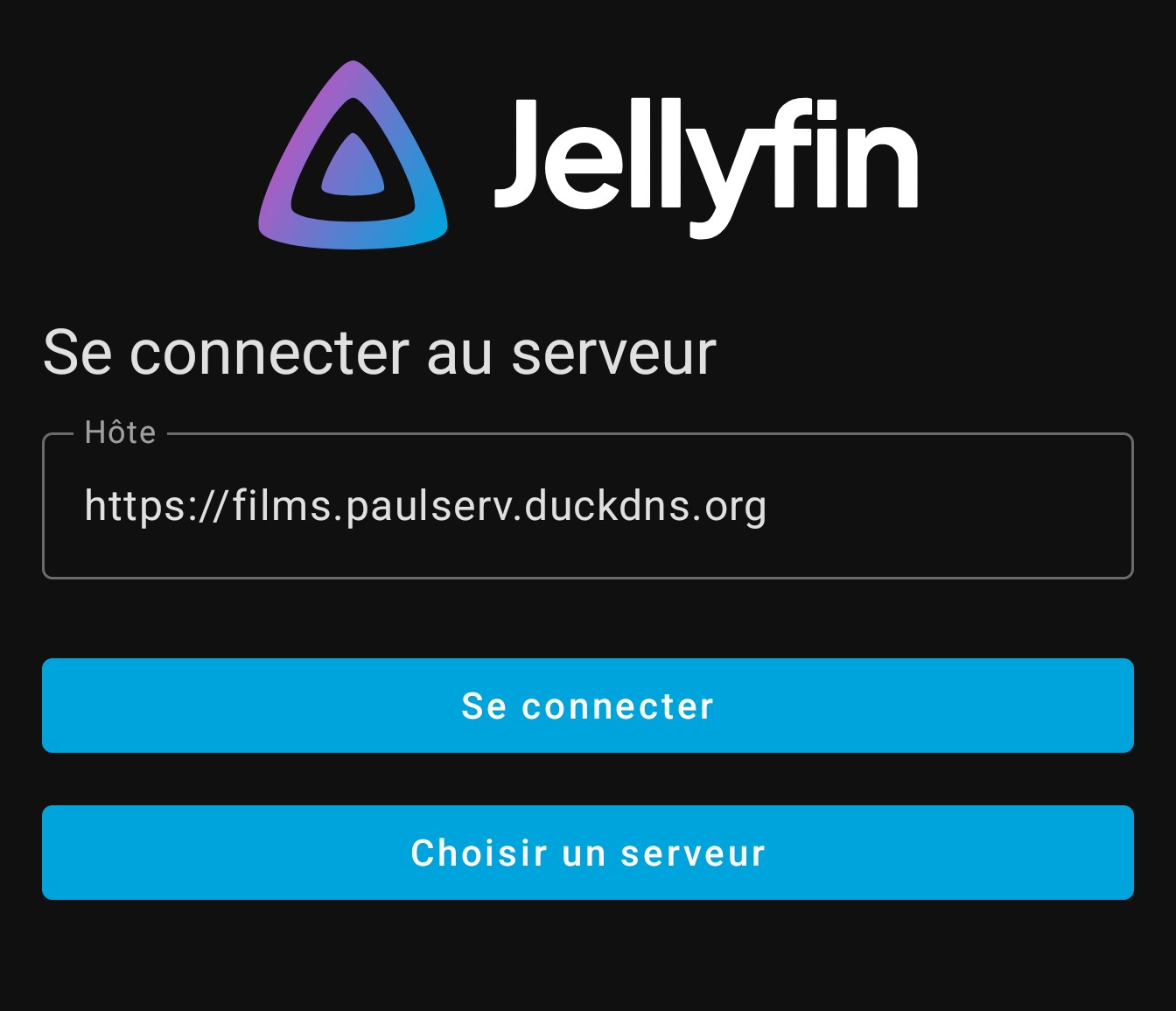 Capture d'&eacute;cran de la connexion Jellyfin